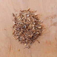chiendent 100gr