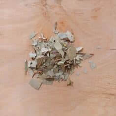 eucalyptus globulus 50gr
