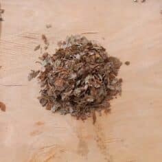 myrtille feuilles 50gr
