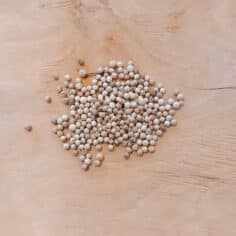 poivre blanc bio 50gr