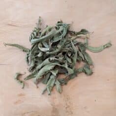 verveine odorante 50gr