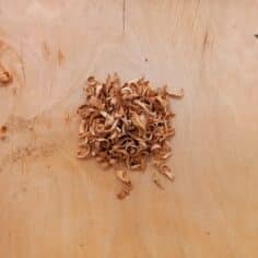 Fleurs d'oranger bio 25 gr