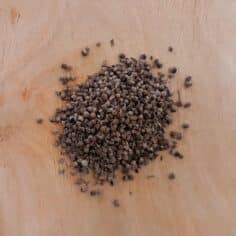 Gattilier graines 100gr